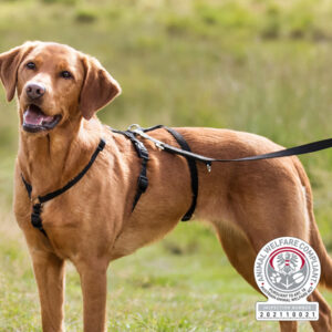 Trixie  Pettorina antipanico Stay