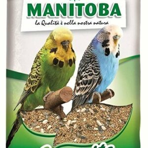 MANITOBA  Cocorite - 1 kg