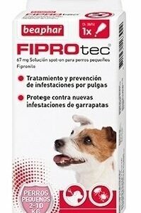 Beaphar Fiprotec Cane Piccolo da 2 a 10 Kg - 1 pipette