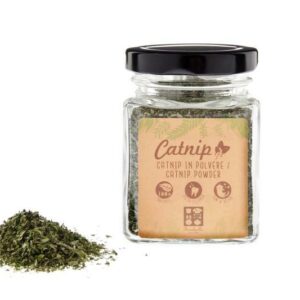 Ferribiella CATNIP