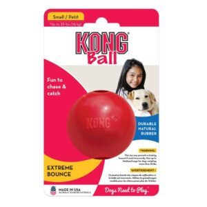 Kong Ball - Small