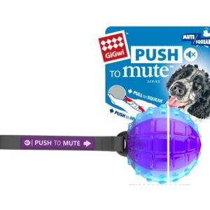 Gigwi Regular Ball PUSH TO MUTE
