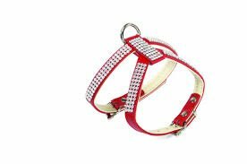 Camon Pettorina in Pelle - Small