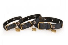 Camon Collare Denim con Bottoni