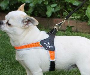 Pratiko Pettorina Air Rete Clip - Mis 2