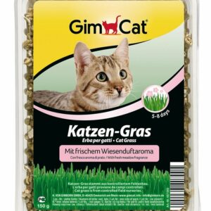GimCat Erba per gatti - 150 g