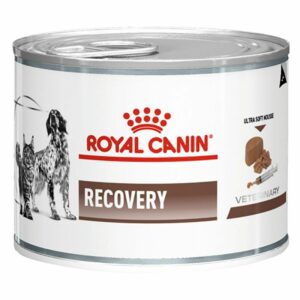 Royal Canin Recovery Canine/Feline - 195 gr