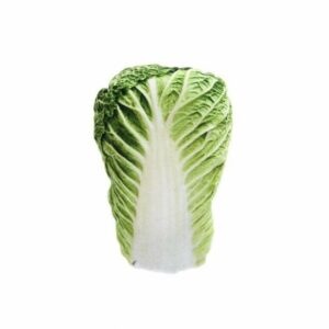 Ferribiella Lattuga - 11,5 x 8 cm