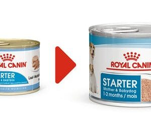 Royal Canin Starter Mousse - 195 gr