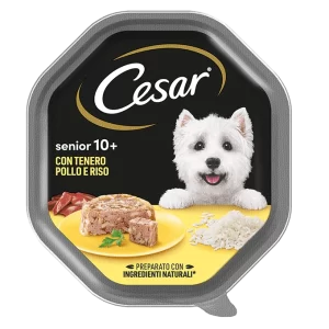 Cesar - Senior 10+ Tenero Pollo e Riso in Gelatina - 150 gr