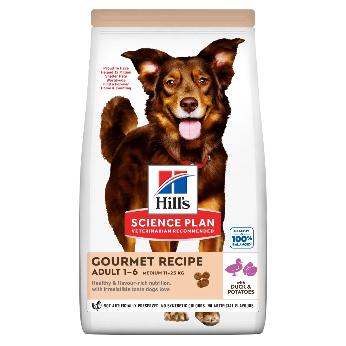 Hill's Science Plan Culinary Creations Medium Adult Alimento per Cani con Anatra e Patate - 12 kg