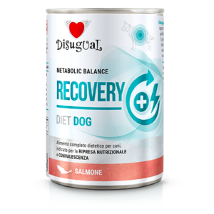Disugual Metabolic Balance Diet Dog RECOVERY Salmone - 400 gr