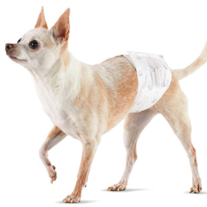 Inodorina Fasce Assorbenti Cani Maschi - 12 pz